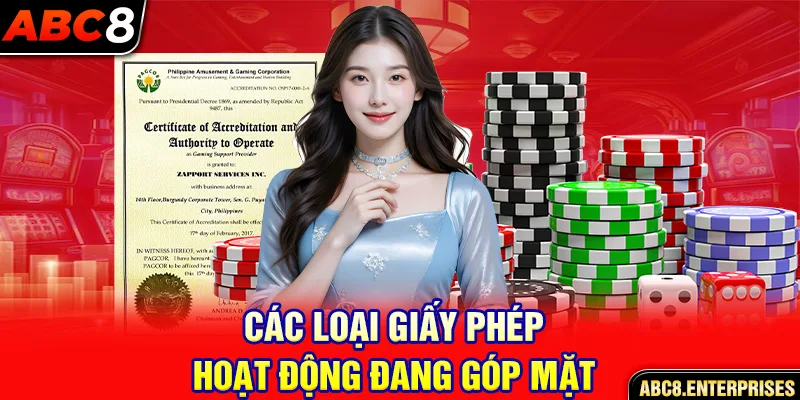 Các loại giấy phép hoạt động đang góp mặt