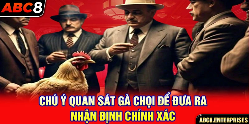 Chú ý quan sát gà chọi để đưa ra nhận định chính xác