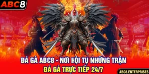 Đá gà abc8 ảnh đại diện