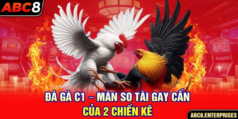 Đá gà C1 - màn so tài gay cấn của 2 chiến kê