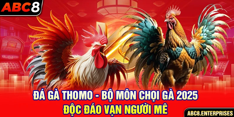 đá gà thomo ảnh đại diện abc8 2025