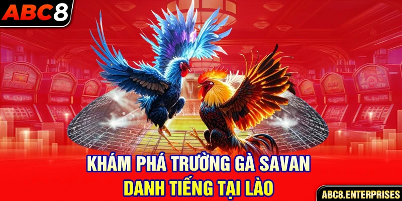 Khám phá trường gà Savan danh tiếng tại Lào