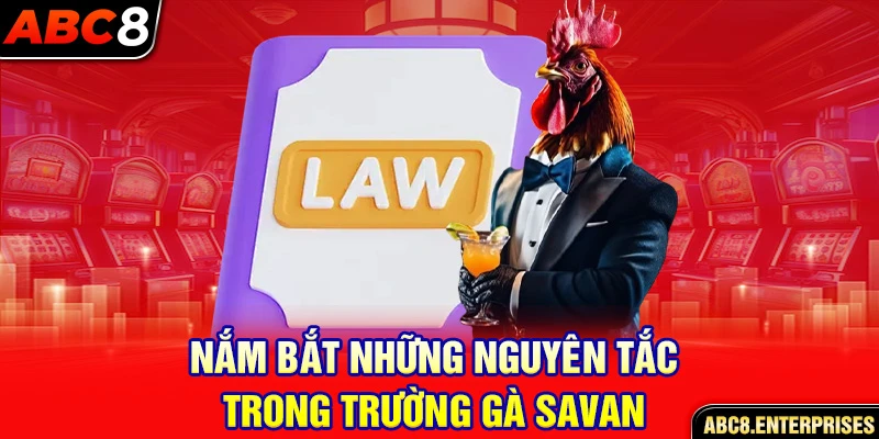 Nắm bắt những nguyên tắc trong trường gà Savan