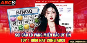 soi cầu lô vàng miền bắc ảnh đại diện