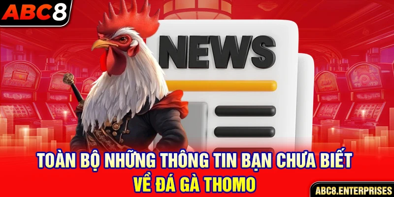 Toàn bộ những thông tin bạn chưa biết về đá gà Thomo