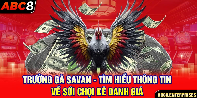 trường gà savan ảnh đại diện